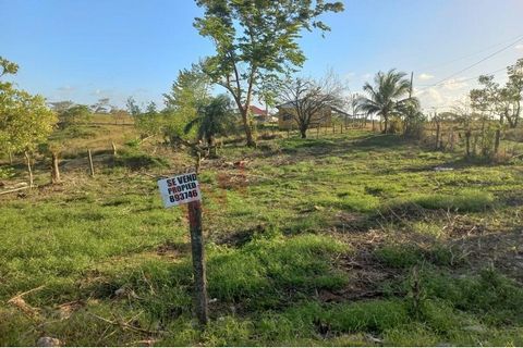 Opportunity to buy your land! Barrio San Pedro, 150 meters from the bridge in the El Pericón area, for hotel use, commercial space, warehouses, hardware store, or construction of executive apartments. It has an area of 1227m² and a buildable area of ...