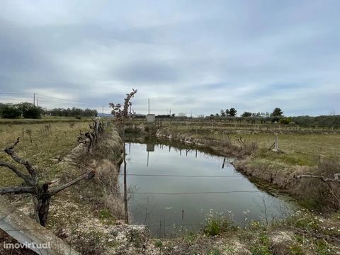Farm with about 1.77 HA in Orca - fundão municipality Excellent flat area with plenty of water. This farm has: » 3 wells, 1 tank and a dam; » Fruit trees; » 2 agricultural installations. The ideal farm to bet on agriculture and who knows, start your ...