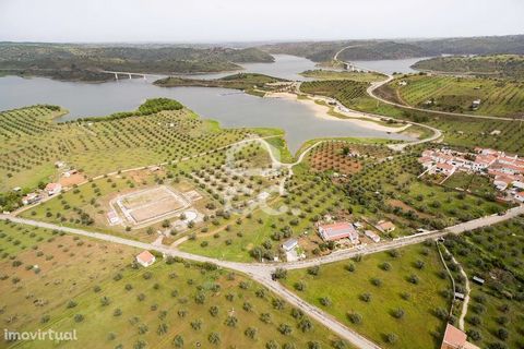 Grundstück von 6200 m2 in Amieira. Das Land ist rustikal, ohne Bewohnbarkeit oder Baumöglichkeit. Es wird durch Oliven- und Regenfeldbau bereichert. Die Zufahrt erfolgt über eine asphaltierte Straße. Besonders hervorzuheben ist die Nähe zum 700 m ent...
