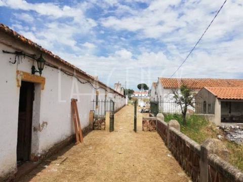 Property of 2.9 Hectares in Estremoz/Évora Welcome to your dream getaway in the heart of Estremoz/Évora, where history meets natural beauty. This extraordinary property offers a unique opportunity for acquisition, with a variety of features that make...