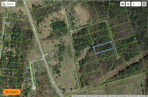 Treed Country Lot, Just Minutes to the Village of Warkworth in Beautiful Trent Hills. Approximately 1.36 Acres of Vacant Land. Property is on an Unassumed Road. Buyer to do their own Due Diligence regarding their intended use.