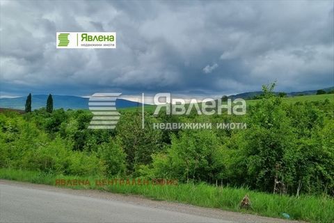 L’agence Yavlena propose à la vente un terrain sur le terrain du village de Kladnitsa, la zone 'Kraishte', face à 137 m sur la route du complexe Delta Hill. La propriété est ensoleillée, plate et offre une vue magnifique. Superficie 2410 m² (yavlenaC...