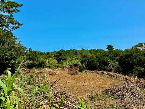 Magnificent plot of land of 7,822.8 m2, with stunning views, located in Ericeira. The land already has PIP approved by the Municipality of Mafra for the construction of a Detached single-family house with a maximum of two floors, including basement o...