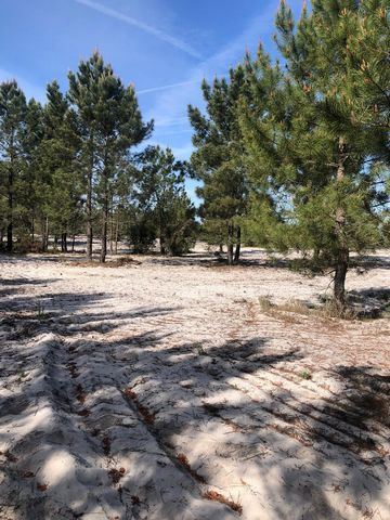 Land, inserted in a Premium Zone for housing or touristic project in Herdade da Comporta. In the middle of the pine forests of Comporta, in a completely private area, where nature is still virgin of human intervention, with good accesses and programm...