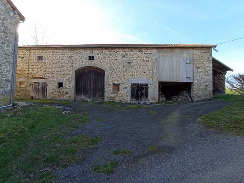 photo no. 1