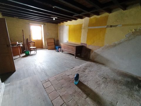photo no. 12