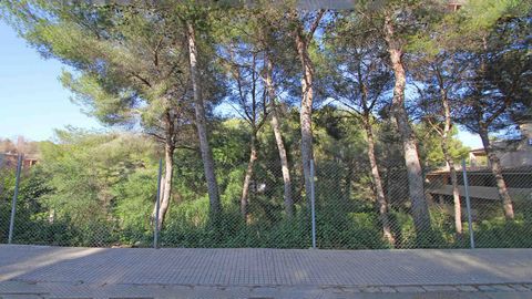 Bienes inmuebles Mallorca: Este solar edificable con vistas sobre los alrededores est & aacute; ubicado en Cala Vinyes, en el suroeste de Mallorca. Este bonito solar dispone de una superficie de aprox. 1300 m2. La propiedad es ideal para la construcc...