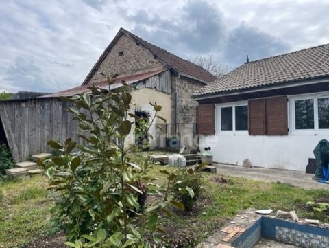 photo no. 2