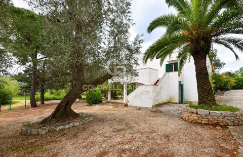 PUGLIA. OSTUNI VILLA WITH OLIVE GROVE Coldwell Banker offers for sale, exclusively, a charming villa on two levels about 4 km from the center of Ostuni, in a quiet area in which to relax away from the chaos of the city. The property consists of two i...