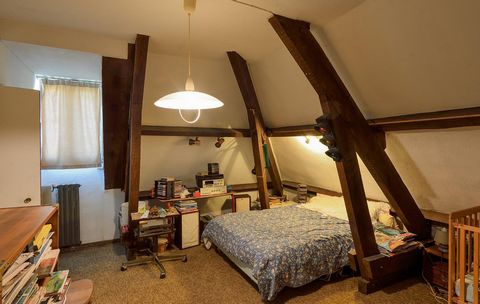 photo no. 12