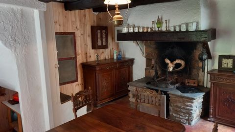 photo no. 5