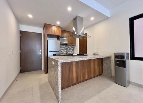 FOR THOSE WHO WANT A LITTLE HOUSE CASITA TO GET AWAY ON THE HOLIDAYS Codominium with 2 bedrooms and 2 full bathrooms furnished but still with oportunity to complement it with your own touch and style with terrace plus 158sqft of patio just a few step...