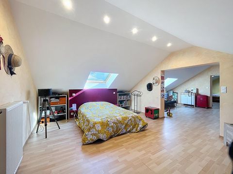 photo no. 11