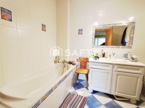 photo no. 12