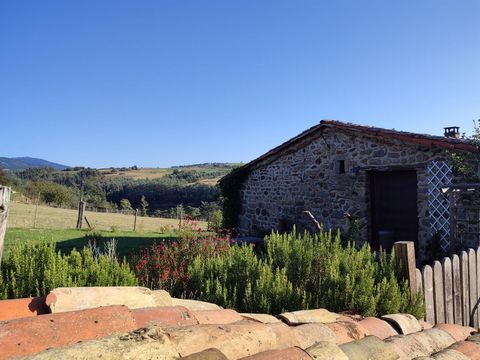 photo no. 2