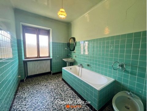 photo no. 16