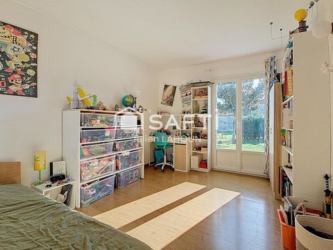 photo no. 11