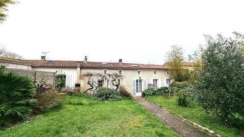 photo no. 15