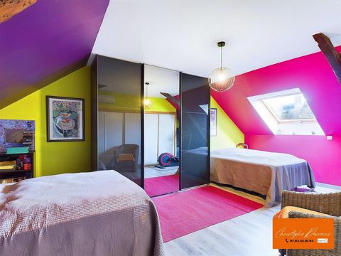 photo no. 14