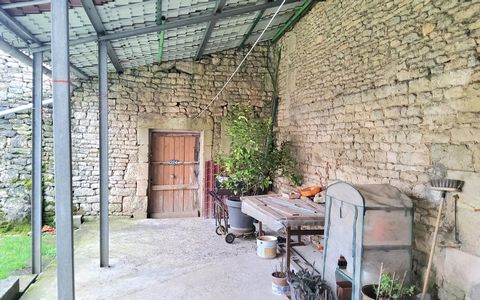 photo no. 10