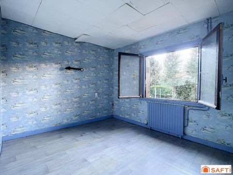 photo no. 7