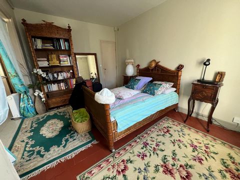 photo no. 11