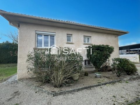 photo no. 11