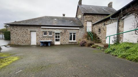 photo no. 5