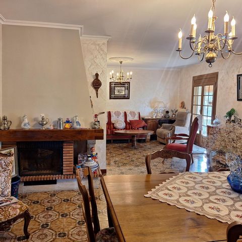 photo no. 8