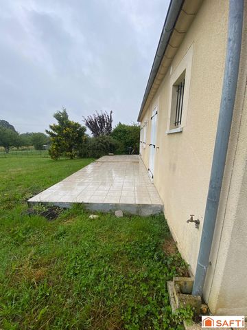 photo no. 14