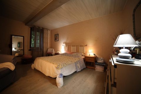 photo no. 5