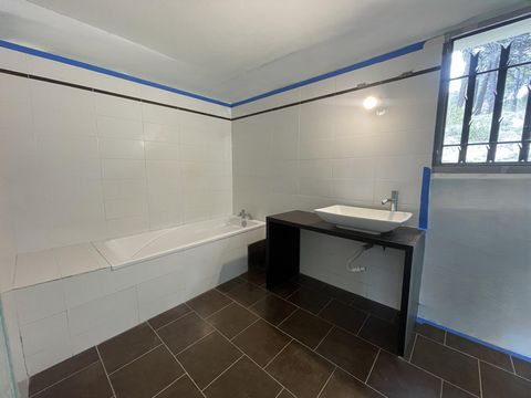photo no. 10