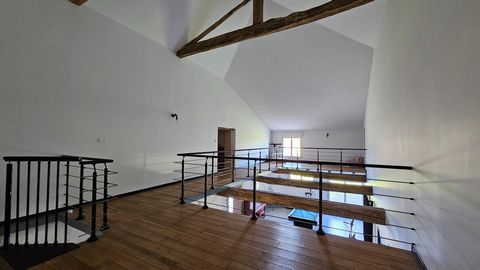 photo no. 11