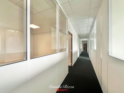 photo no. 2