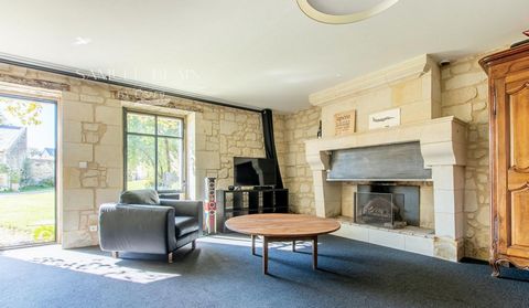 photo no. 13