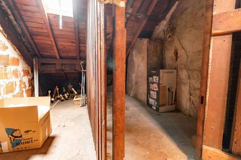 photo no. 15