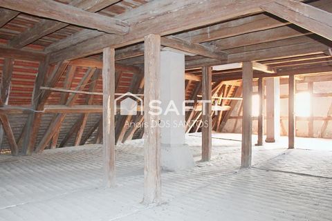photo no. 11