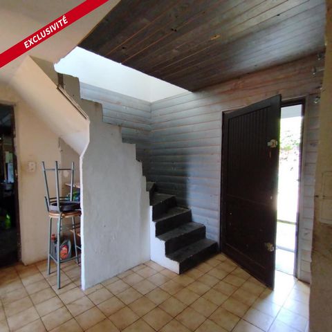 photo no. 10