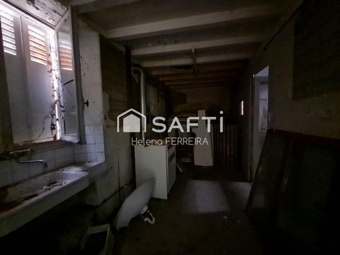 photo no. 3