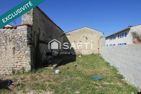 photo no. 5