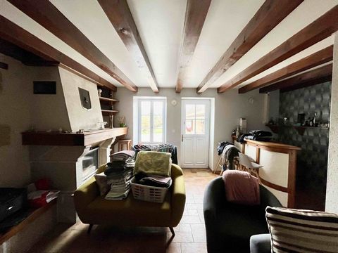 photo no. 7