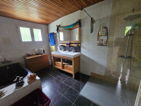 photo no. 8