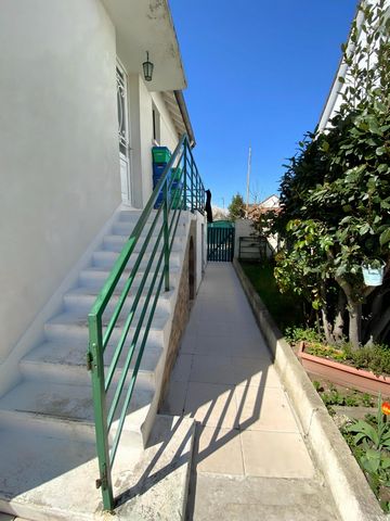 photo no. 17