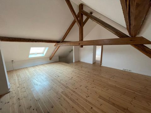 photo no. 12