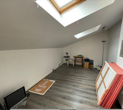 photo no. 15