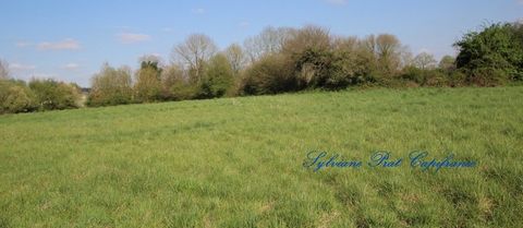 A vendre Terrain Agricole de 15 089,00 m² ARTIGUELOUTAN (64)