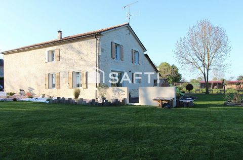 photo no. 11