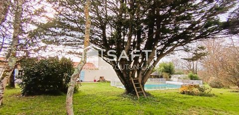 photo no. 12