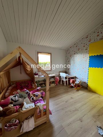 photo no. 4
