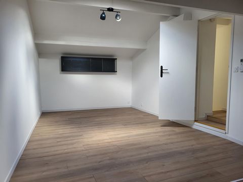 photo no. 6